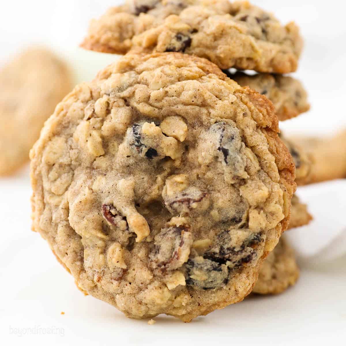 Oatmeal Rasin / 2 Dozen