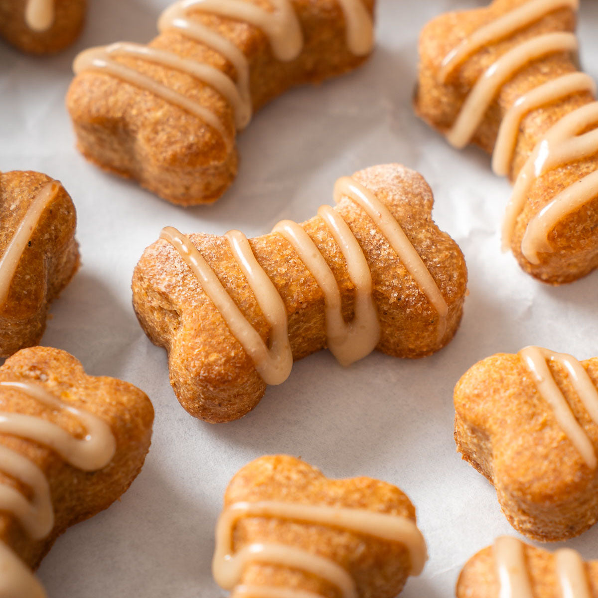 Peanut Butter Biscuits